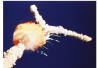 32年前“挑战者号”航天飞机升空爆炸夺7命　现场观众抱头痛哭