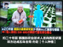 日本运动员大赞韩国草莓　日网民：是从日本盗种的！