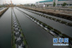 绩效+竞争！山东分配3.99亿省级水污染防治资金