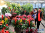全国花艺赛事首来郑州　将引领河南花卉消费