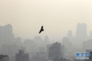 15日起冷空气影响京津冀地区　区域污染形势将缓解