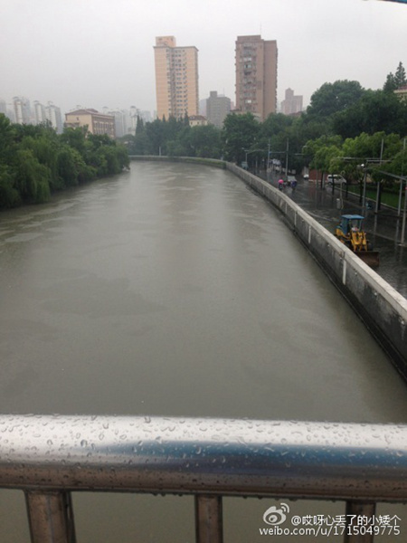 28日，雨中的上海。（图片来源：微博）