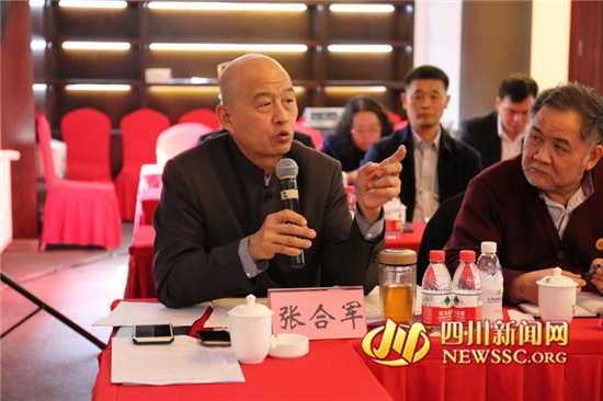 止戈申报中国和平文化特色小镇专家研讨会