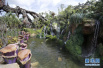 美佛州迪士尼主题公园将开放“阿凡达”新景区