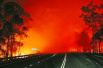 澳大利亚新南威尔士州发生丛林大火