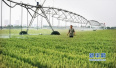 潍坊聚集科技创新资源助农业发展　农业科技进步贡献率达65%