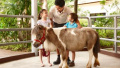 大连森林动物园13周岁及以下儿童家长陪同下免费游