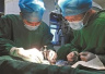 27岁男子成功移植猪眼角膜　“二师兄”立功了！