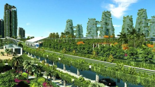 四川将打破行政限制建设森林城市群和森林小镇