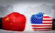中方对原产美国进口高粱实施临时反倾销措施