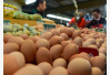 临沂鸡蛋价格破“五”　中秋临近可能继续涨价