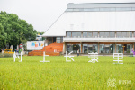 苏州吴江区2023年中国农民丰收节开幕 环长漾地区一批重点项目签约