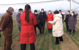 河南郏县：加强小麦越冬度春管理 确保丰收年
